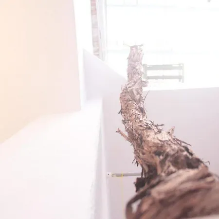 Διαμέρισμα Toniko With Terrace Σπλιτ