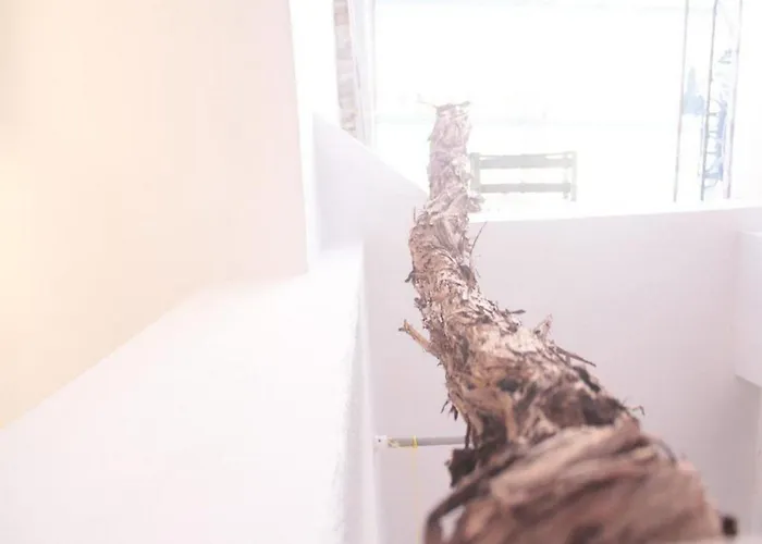 شقة Toniko With Terrace سبليت